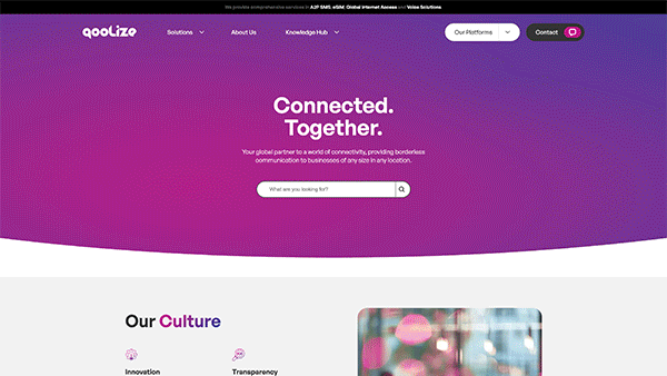 Qoolize-website_marketing-and-pr-foundations Marketing and PR foundations for Qoolize – the website